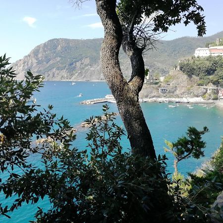 Nel Cuore Di Monterosso Cinque Terre Orto Di Ciack Monterosso al Mare Exteriér fotografie