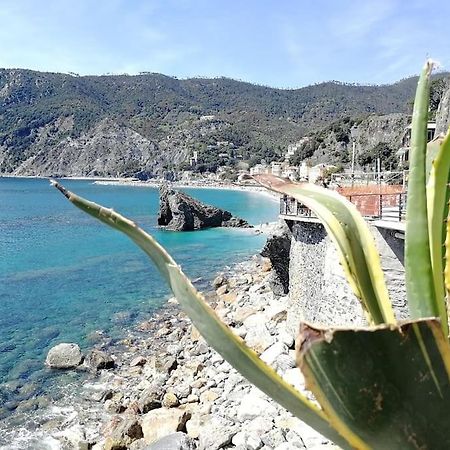 Nel Cuore Di Monterosso Cinque Terre Orto Di Ciack Monterosso al Mare Exteriér fotografie