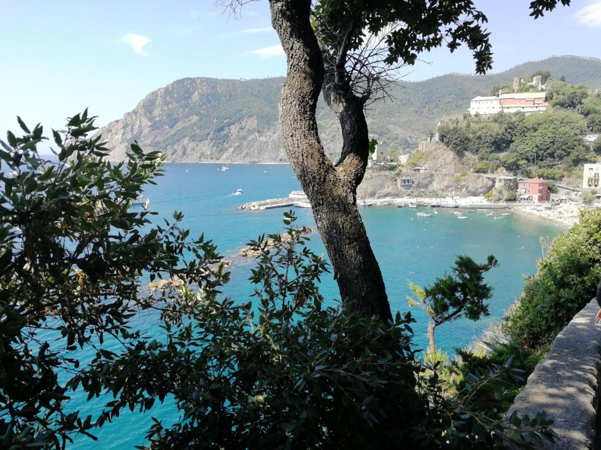 Nel Cuore Di Monterosso Cinque Terre Orto Di Ciack Monterosso al Mare Exteriér fotografie