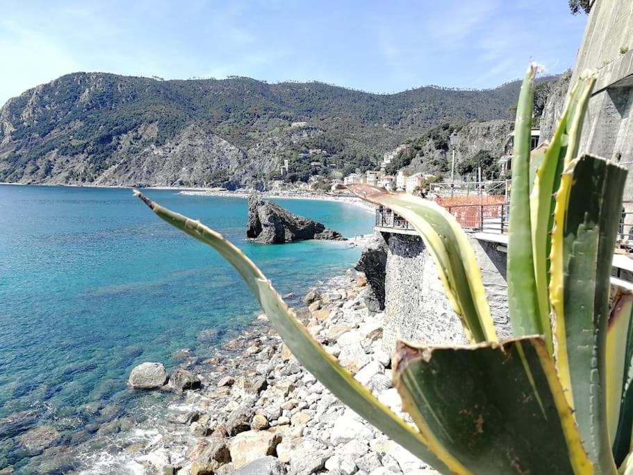 Nel Cuore Di Monterosso Cinque Terre Orto Di Ciack Monterosso al Mare Exteriér fotografie